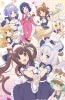 Хентай Кошачий рай ТВ-1 / Nekopara TV-1 (2020)
